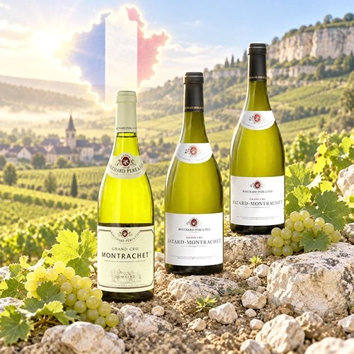 COTE DE BEAUNE
